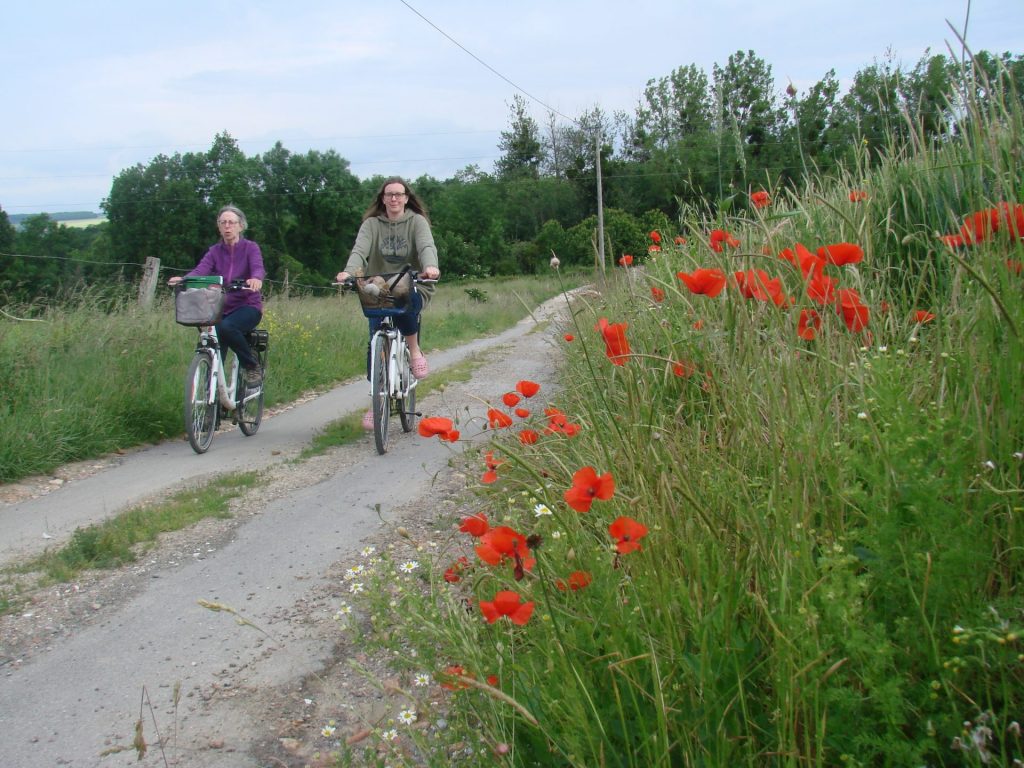 Balade à vélo