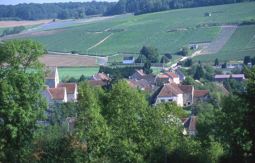Randonnées fables et champagne